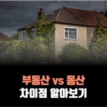 부동산-동산-차이