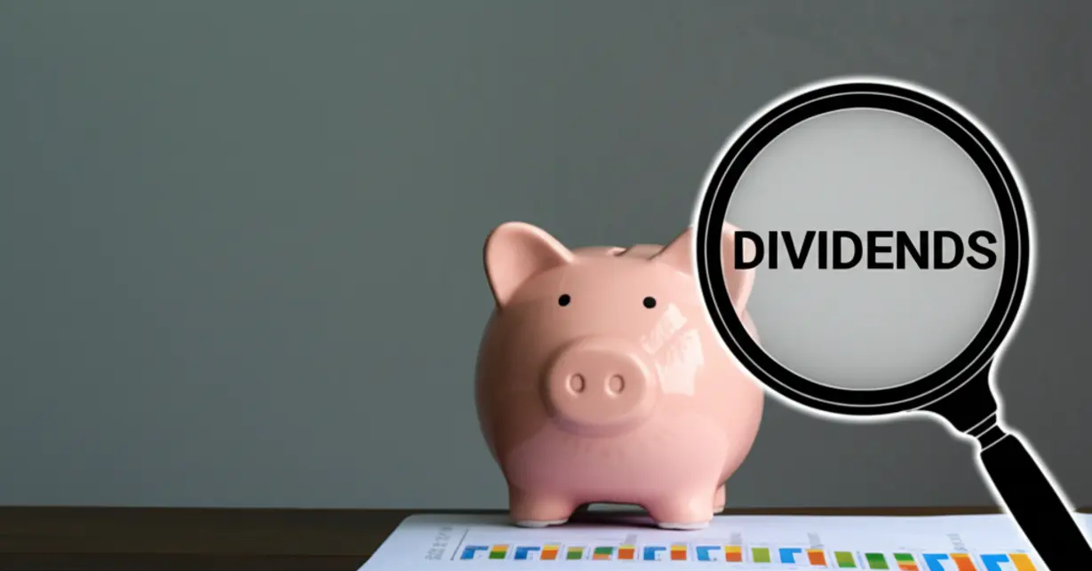 Dividend Investment Strategy and Caution