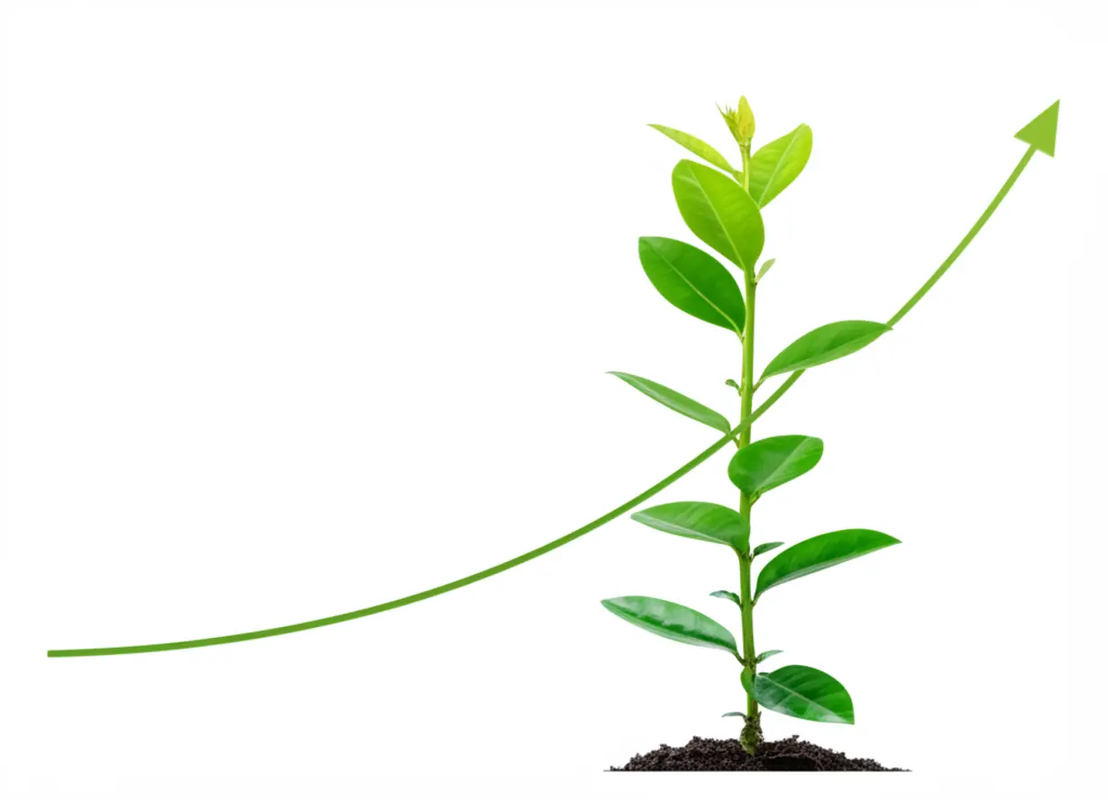 Stable Growth of Blue Chip Stocks