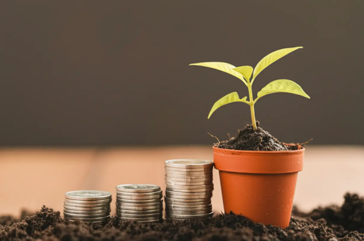 Understanding Dividend Stocks