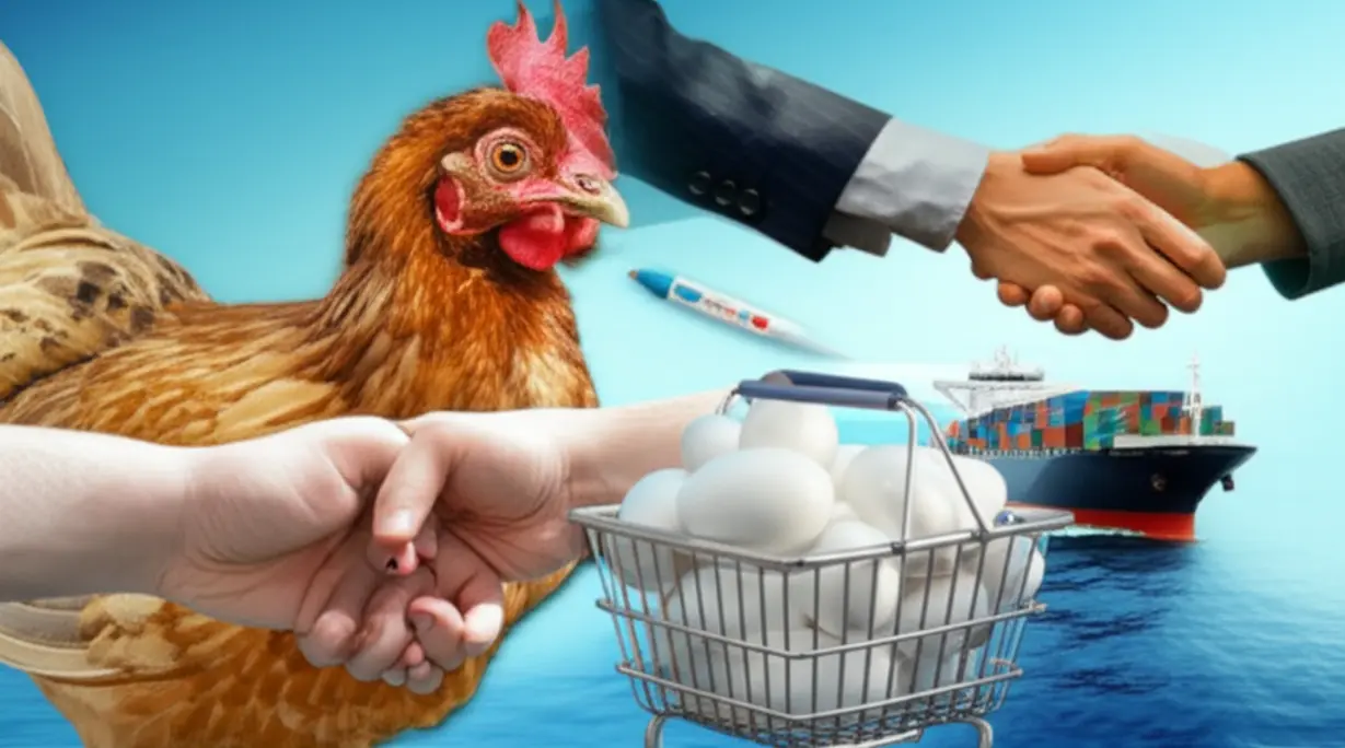 3D-illustration-depicting-various-reasons-for-rising-egg-prices.