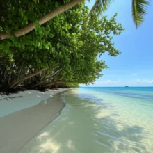 거제-옥계-해수욕장의-아름다운-풍경.-푸른-바다와-울창한-나무-그늘이-어우러져-편안하고-이국적인-여름-휴가-분위기를-자아냅니다.-조용하고-한적한-해변의-모습.