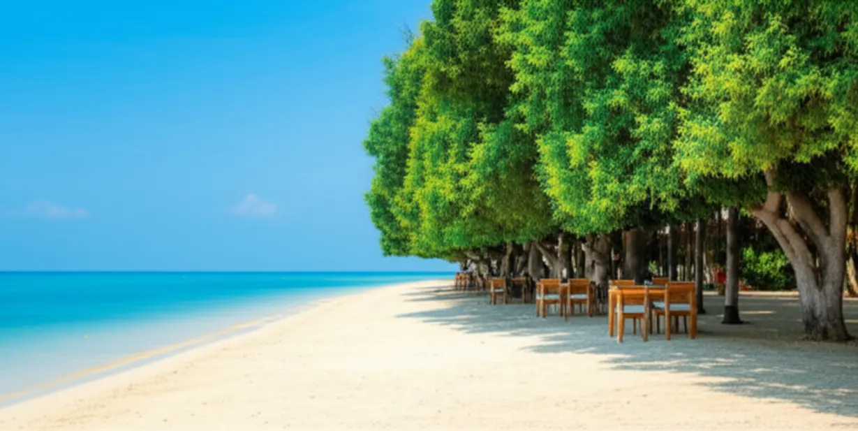 거제-옥계-해수욕장의-멋진-천연-나무-그늘과-잔잔한-바다-풍경.-시원한-그늘-아래-테이블에서-편안하게-쉬는-모습.