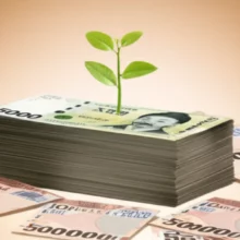 상생페이백-환급을-상징하는-귀여운-새싹이-만원-지폐-위에서-자라나고,-주변에-디지털-온누리상품권이-가득한-모습.-정부-지원금-30만원-혜택을-시각적으로-표현.