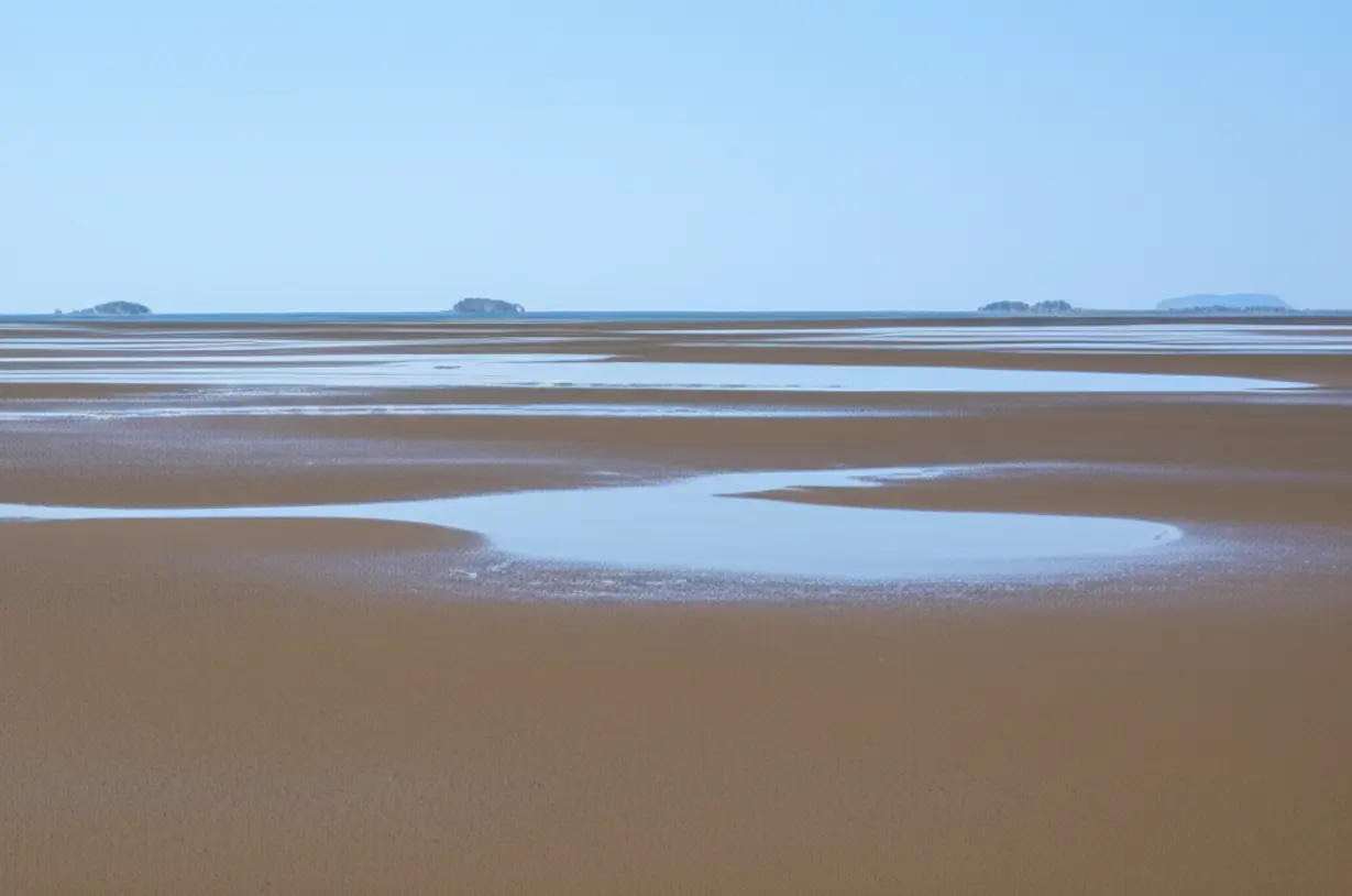 영종도-마시안해변의-넓고-아름다운-갯벌-풍경.-썰물-때-드러나는-서해-바다의-장관을-담은-사진.