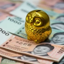 황금-올빼미-저금통이-원화-지폐-위에-앉아-현명한-주식-투자-전략을-상징합니다.-소액주주-재테크와-노후-대비-자산-관리의-중요성을-보여주는-이미지.